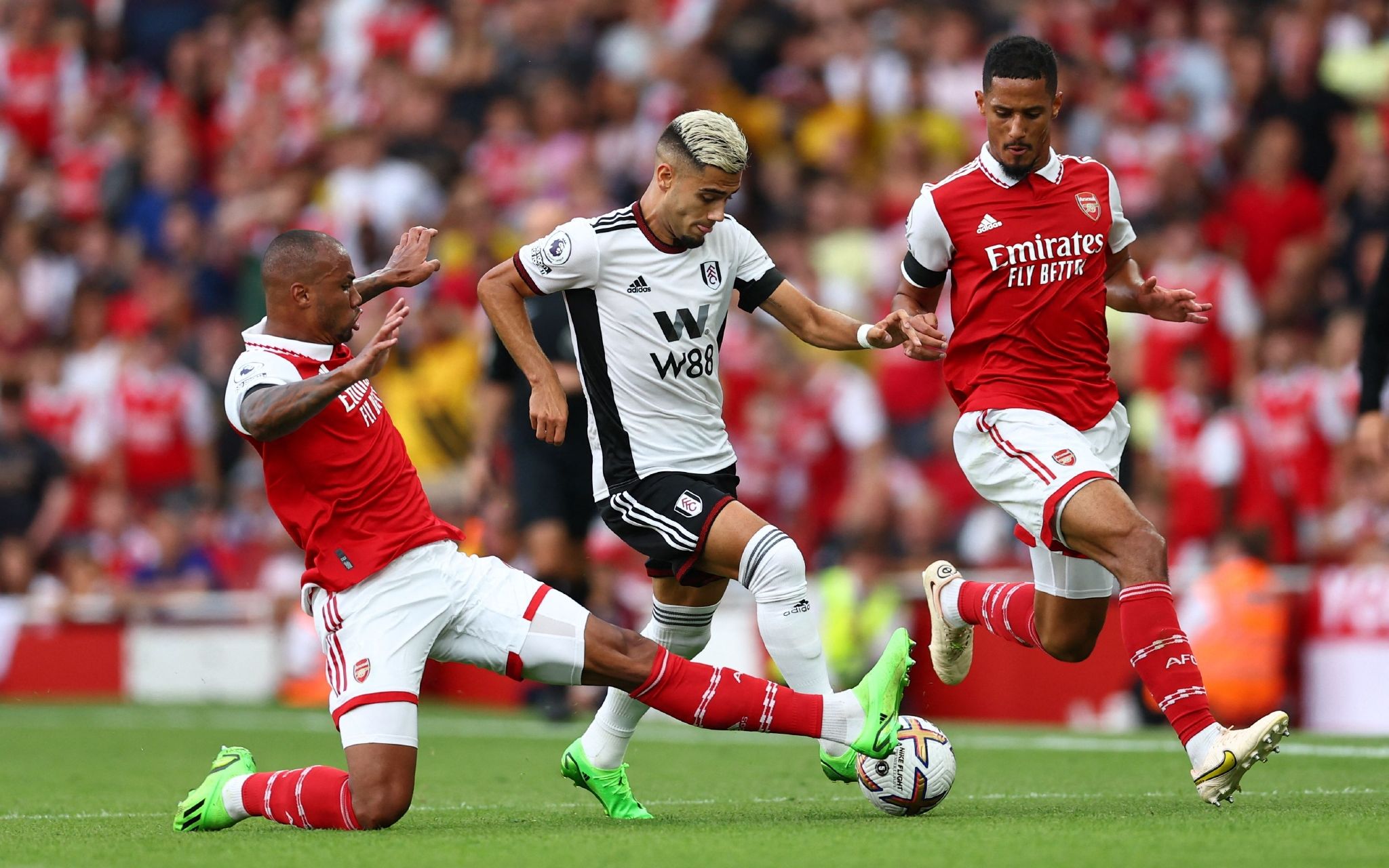 勇士队医正 勇士队医正